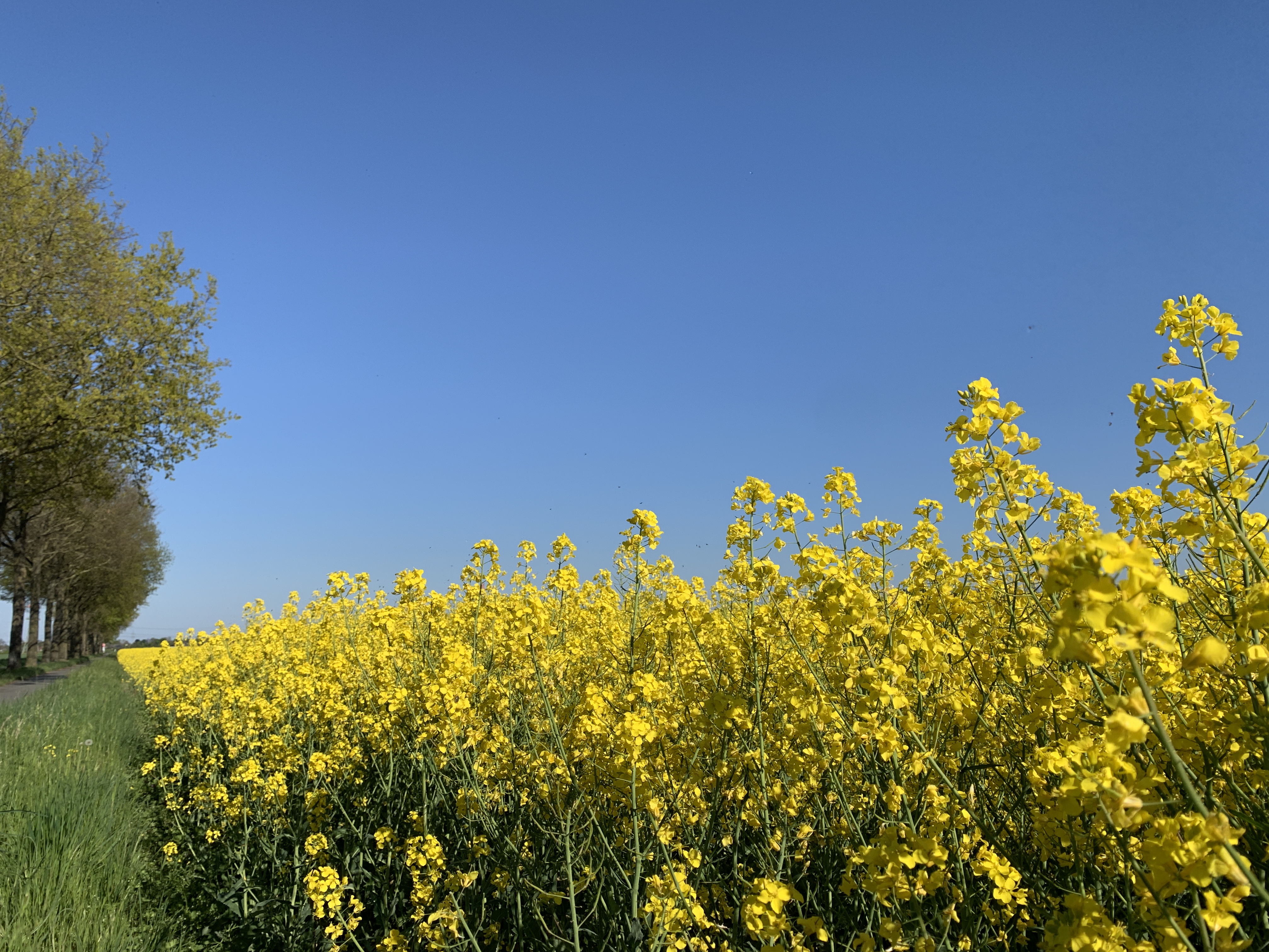 Platzbilder – Bild 2
